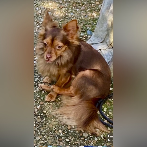 Meet your Posher, Tammy - Picture 2 of 4